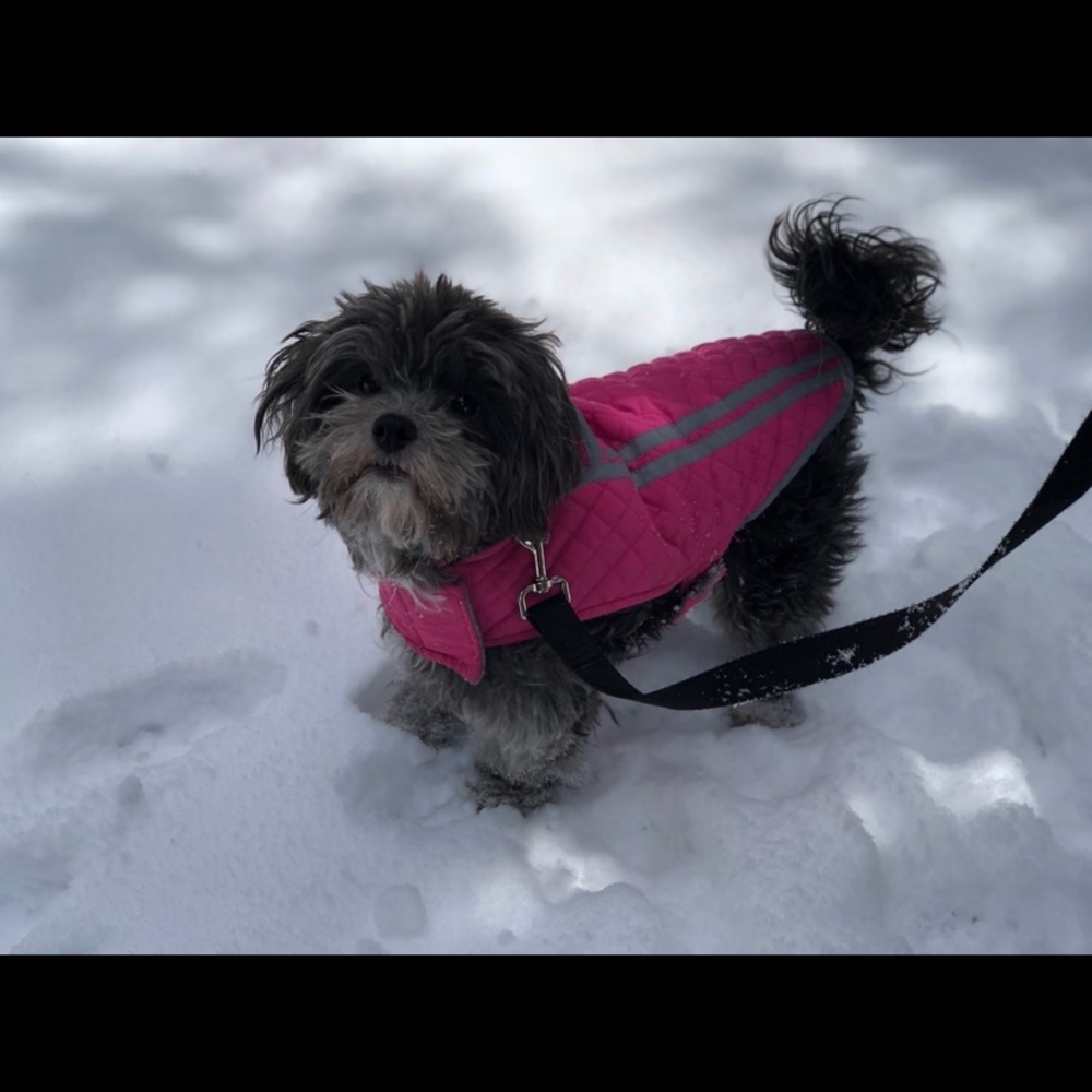 Meet your Posher, Angel